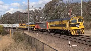 Diesel locomotive 44206 working with streamliners S302, S317 & GM22 - west - September 2015