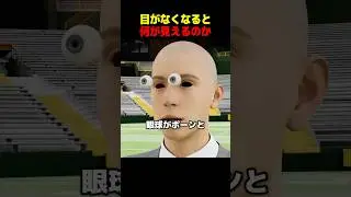 目が見えなくなるとどうなるのか？