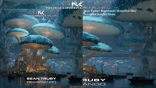 Sean Truby - Regresando (Extended Mix)