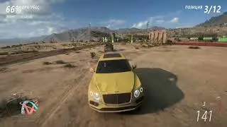 Yellow Bentley vs Competition | Forza Horizon 5 | Steering Wheel Gameplay