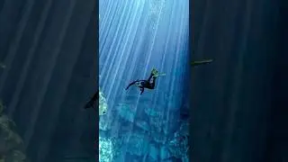 Diving Cenotes Mexico 🤿