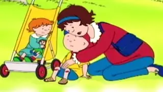 Caillou en Español Castellano | Caillou y el Accidente en el Parque | Dibujos Animados Completos