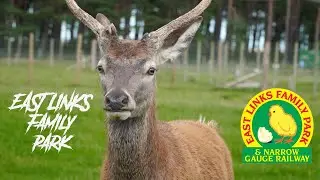 East Links Family Park | Dunbar | East Lothian