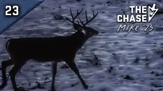 12.5.25: Сигнал закрытия по сигналу сирены, сезон охоты на лук окончен
