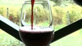 longview vineyard