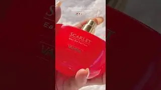 After endless searches, I&rsquo;ve finally found the one. #cleanscents #scentbar #freshscent #goodsmell