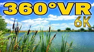 360&deg; VR Lake Tancabesti Beautiful Walk Tour Snagov Bucharest Trip Romania 6K 3D Virtual Realty HD 4K