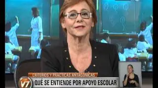 Visi&oacute;n 7: Qu&eacute; se entiende por apoyo escolar