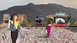 Full Video: Loading ducks onto the truck to move to a new land &ndash; The most unique and exciting scene!
