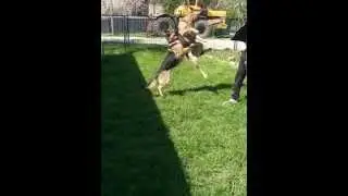 meizu m1 note test camera slow motion