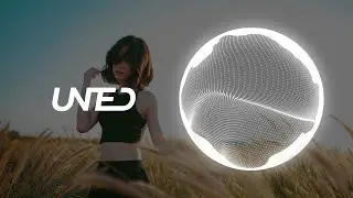 Alan Walker style - Warrior