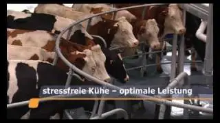 BouMatic -  Xpedia 360EX  [Deutsch]