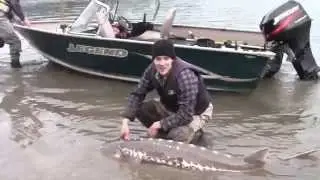 Sturgeon fishing the Harrison 2015