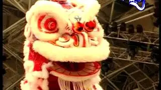柔佛沙威文青龙狮团A队