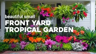 Small Front Yard Garden Ideas Featuring Vibrant Tropical Flowers 🌺🌴