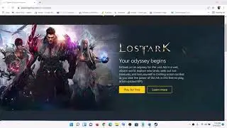 Fix Lost Ark Connection Timeout Error & Lag Issues On PC