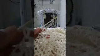 16 de dezembro de 2025