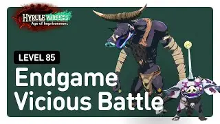 NEW ENDGAME CONTENT! Vicious Battle Gameplay &ndash; Hyrule Warriors: Age of Imprisonment