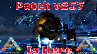 Ark: Patch 257 - Daeodon, Queen Bee, Kentrosaurus, Megalodon Tek and Tek Cloning Chamber