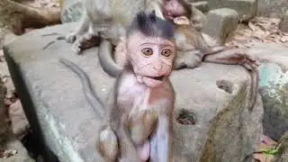Cute cute baby, baby Baron sleep well and hug mom breastfeeding.