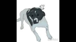Sadly Johnny Gioeli of Crush 40, has lost his dog Hobo, of 16 years about a week ago ❤️&zwj;🩹