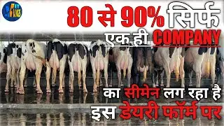 Dairy Farm Tour || Hf Breed || 40kg Milk average || NDDB-SAG || VetVlogs