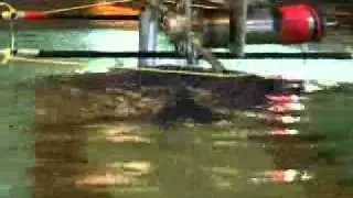 Seaweaver -5.wmv