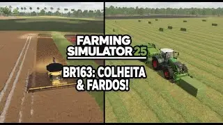 DIA DE MUITO TRABALHO NA BR163! Colheita de Canola e Contrato de Fardos - FS25