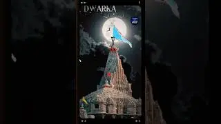 દ્વારકાધીશ ની સરકાર🙏🦚જય શ્રી કૃષ્ણ🦚🦚 રાધે રાધે ❣️#jay #dwarkadhish #dwarkastatdu#travel #1k