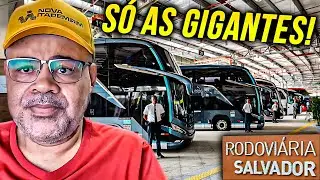 Nova Rodoviária de Salvador:  Conheça todas as empresas que vão operar linhas Interestaduais por lá.