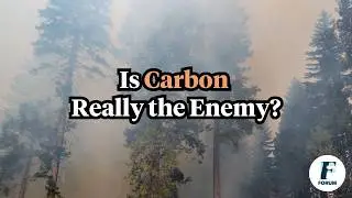 We're Talking About Carbon Wrong. Here's Why. | KQED Forum
