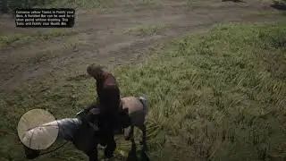 Blind killing a skunk