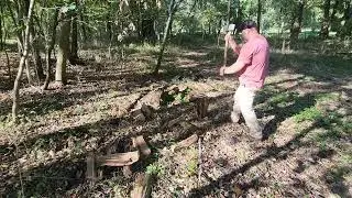 Видели ли вы когда-нибудь древесину, которую легче колоть?