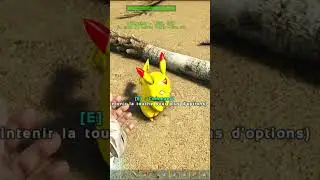 Pikachu &eacute;nerv&eacute; sur PokeArk