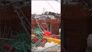 Newfoundland Fishing Boats