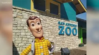 Woody doll reunited with his owner after being lost at San Antonio Zoo