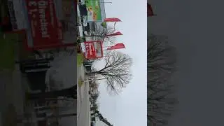Neckarau /2- Mannheim