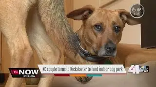 Kansas City couple turns to Kickstarter to fund indoor dog park