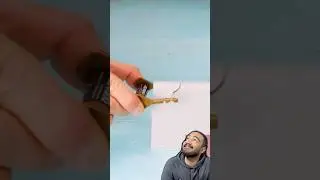 Real or Fake? TesterMan Finds Out!&rdquo;