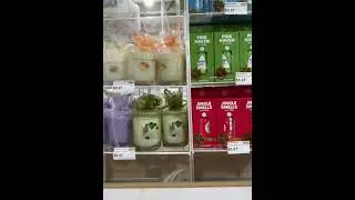 Beautiful candles for just under $10 dollars each #usa #share #beach #candle #event #doral #shorts