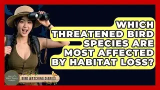 Which Threatened Bird Species Are Most Affected By Habitat Loss? - Bird Watching Diaries