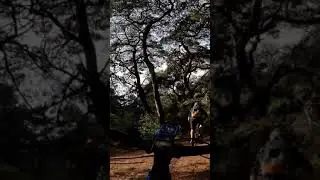 Cube Stereo Hybrid 140 actionteam // Autumn fun