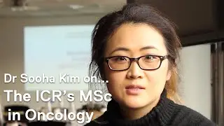 The diverse curriculum of the ICR's Oncology MSc course