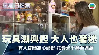 TVB 星期日檔案｜玩具潮興起　大人也著迷 (繁／簡字幕)｜ 無綫新聞 TVB News