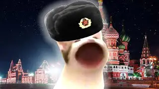 Moskau - Pop Cat
