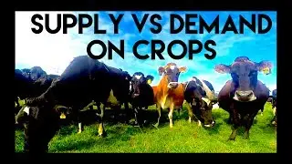 Supply Vs Demand On Crop