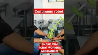 Final Year Project Snake arm Robot(Continuum Robot)🕹🤖#engineering#project #science#robotics#college