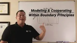 The Role of the Board - The Sports Team Analogy (Pt. 2)