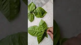 4 5 patata val blva pataraka yf5REvSv