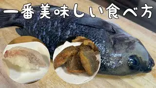 グレは〇〇で食べるのが一番美味い！？